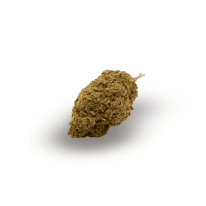 Flores de CBD Amnesia Haze