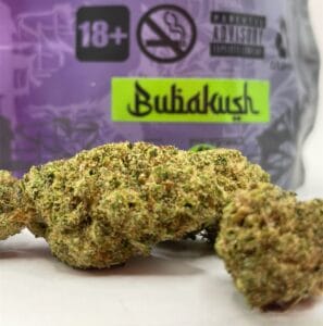 Flores de CBD Bubakush