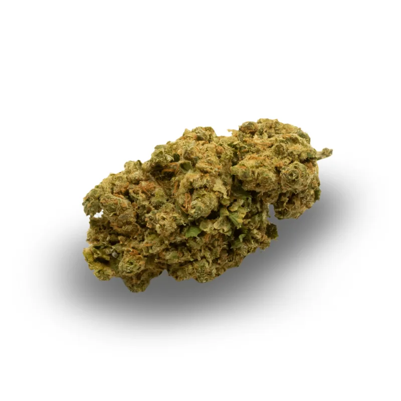 Cream Caramel - Flores CBD