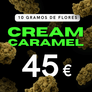 Cream Caramel 10gr - Flor Hidropónica