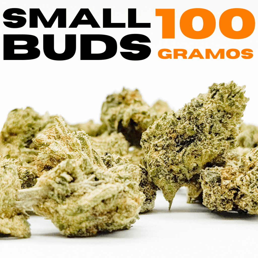 100gr de Small Buds x 100€