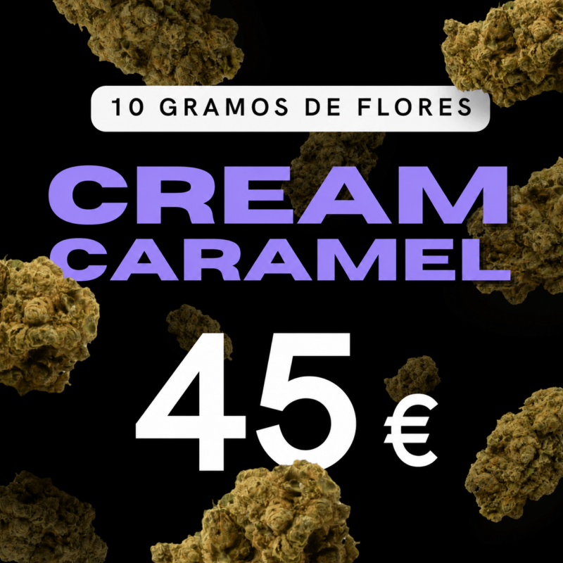 Cream Caramel 10gr - Flor Hidrop&oacute;nica