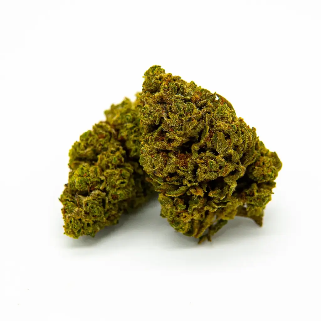 Amnesia FTS - Flores