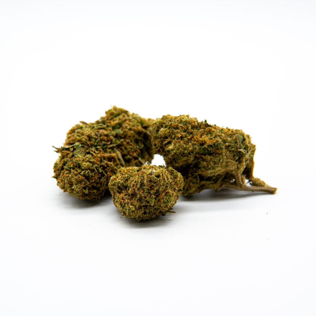 Gorilla Glue