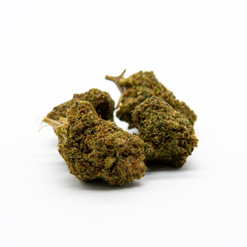 Mimosa BZ