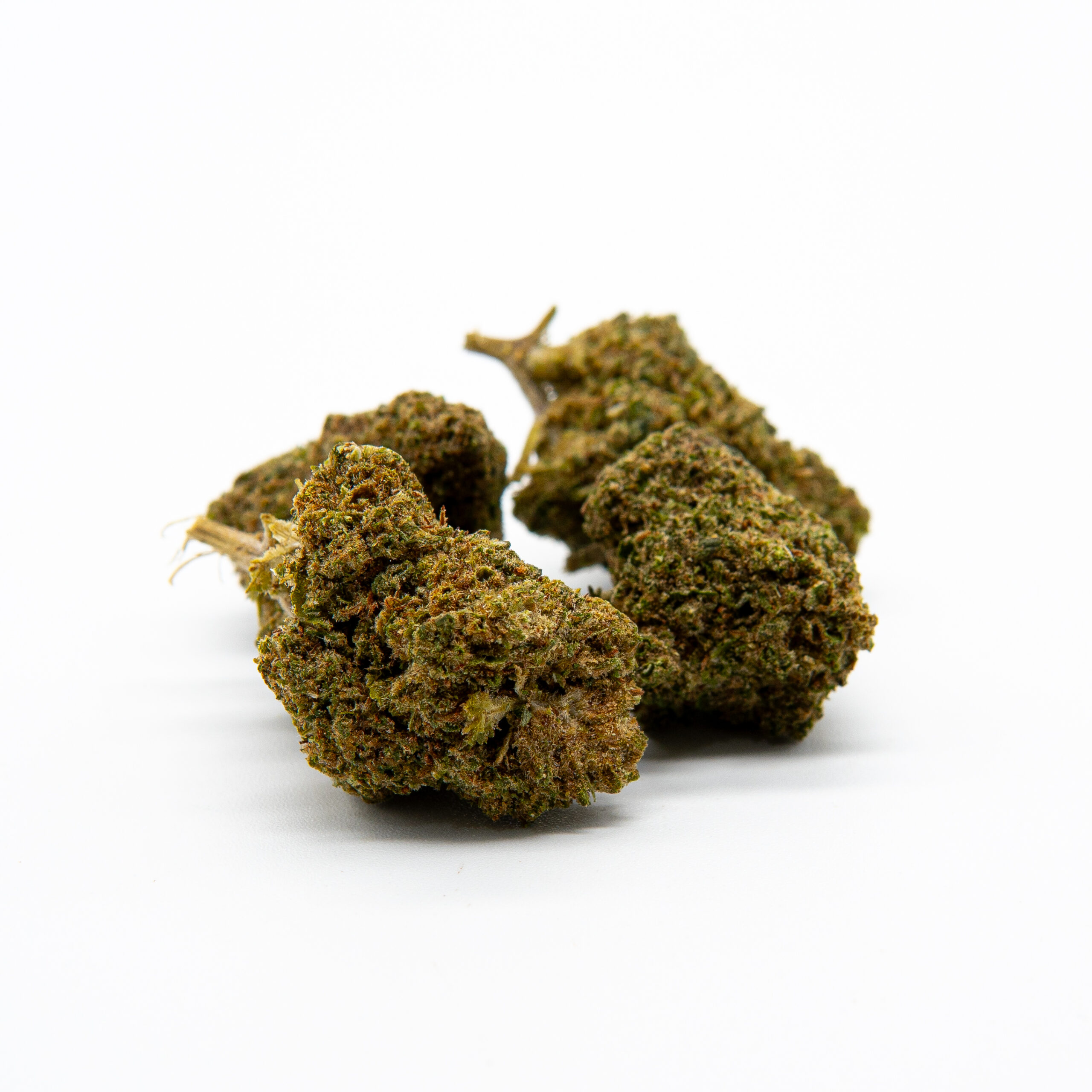 Mimosa BZ